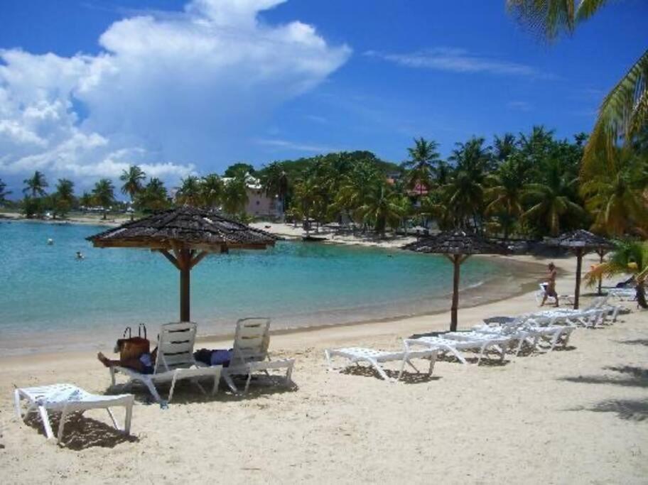 Studio Confort Pres Des Plages Le Gosier  Esterno foto
